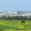 Landscape Carthage