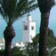 Landscape Carthage