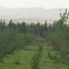Landscape Hammamet